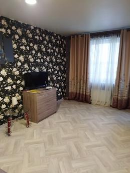 Studio apartment on Varkaus emb., 35, Petrozavodsk - apartment by the day