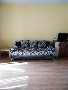 Studio apartment on va, 11, Petrozavodsk - apartment by the day