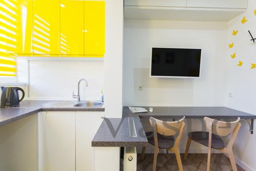 Modern studio apartment with kitchen, Kyiv - mieszkanie po dobowo