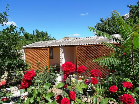 Частное жилье Оленевка снять жильё, Черноморское - квартира посуточно