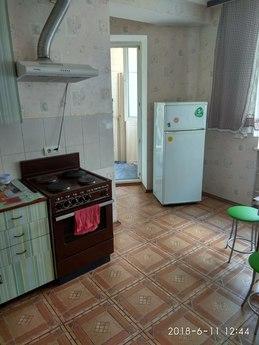 Spacious apartment near the metro, Kyiv - mieszkanie po dobowo