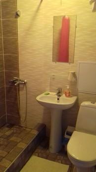 1 bedroom apartment for rent, Svitlovodsk - apartment by the day