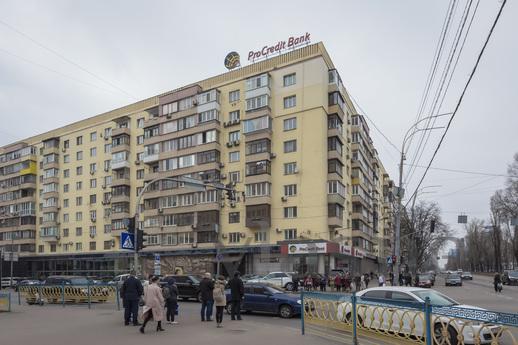 Merkezde 2 odalı şık daire, Kyiv - günlük kira için daire