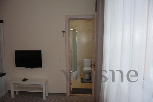 Double Room with Shower, Yaremcha - mieszkanie po dobowo