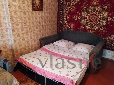 Merkezde 1 yatak odalı daire, Zaporizhzhia - günlük kira için daire