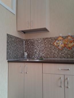 1-room apartment, Zlatoust - günlük kira için daire
