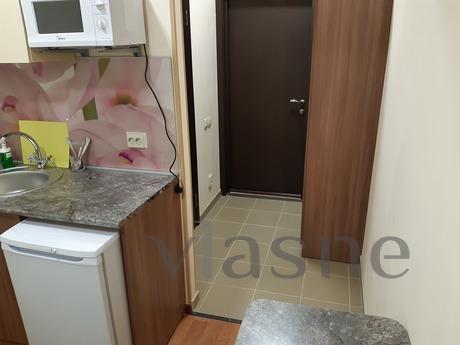 Double studio, Zlatoust - apartment by the day