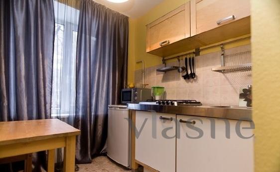 Own 1 bedroom apartment in the very CENT, Dnipro (Dnipropetrovsk) - mieszkanie po dobowo