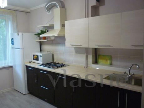 1 bedroom apartment for rent, Dnipro (Dnipropetrovsk) - mieszkanie po dobowo