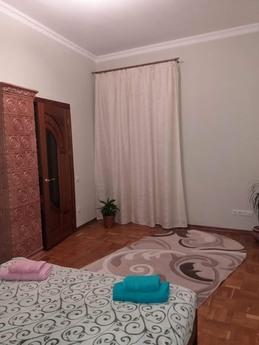 Clean and cozy apartment in the city cen, Lviv - apartment by the day