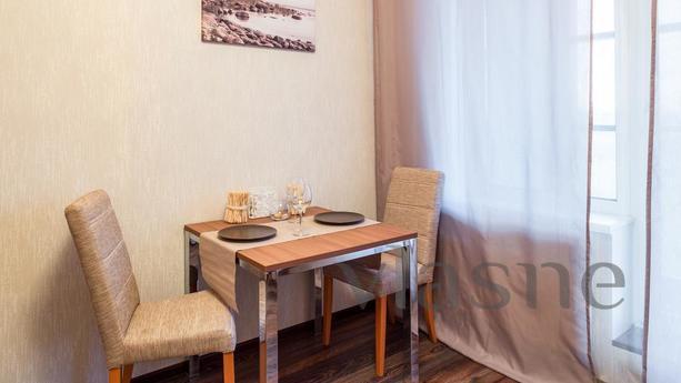 1 bedroom apartment for rent, Saint Petersburg - mieszkanie po dobowo