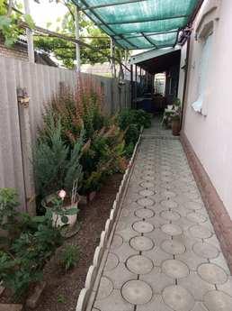 Хотите недорого но с комфортом отдохнуть в Бердянске, предла