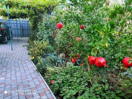 СУДАК. ГОСТЬОВИЙ БУДИНОК 'ПРОХЛАДА, Судак - квартира подобово