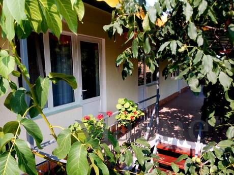 СУДАК. ГОСТЬОВИЙ БУДИНОК 'ПРОХЛАДА, Судак - квартира подобово