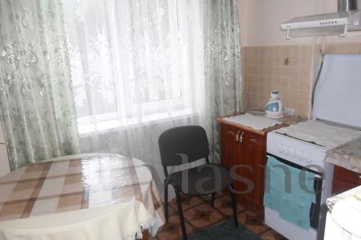 EXCELLENT APARTMENT IN TRUSKAVTSE, Truskavets - apartment by the day