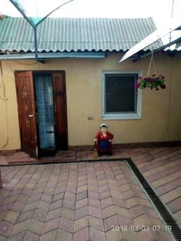 Deniz kenarında şehir dışında bir ev., Chernomorsk (Illichivsk) - günlük kira için daire