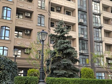 Rent NEW 1 room apartment by the sea Arcadia, Odessa - günlük kira için daire