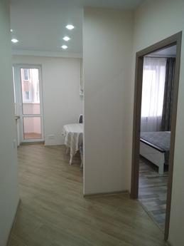 Daily, hourly VIP apartments, Bucha - apartment by the day