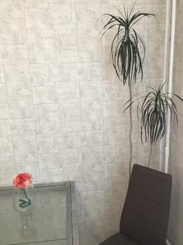 Daily rent Novocheremushkinskaya 8, Moscow - günlük kira için daire