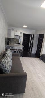 Skhodnets one-room apartments, Skhidnytsia - apartment by the day