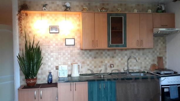 Apartment in a new house, Kyiv - mieszkanie po dobowo