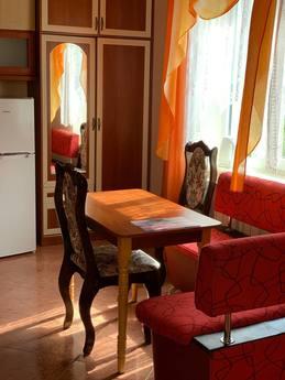 City center rent in Truskavets, Truskavets - apartment by the day