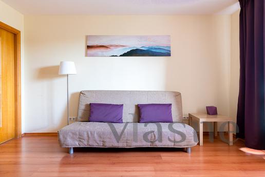 1-bedroom apartment directly opposite the Federal Center. Al