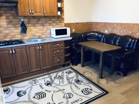 VIP Apartments near the center, Ternopil, Ternopil - apartment by the day