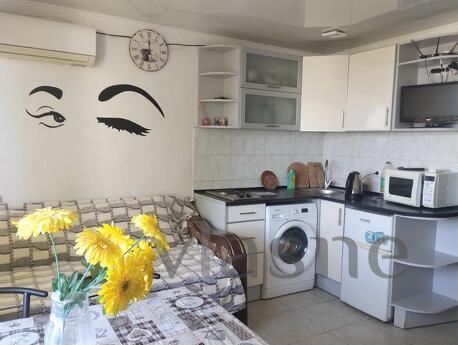 Comfortable apartment by the sea, Luzano, Odessa - apartment by the day