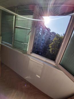 Cozy apartment on Druzhby Narodov, Kyiv - mieszkanie po dobowo