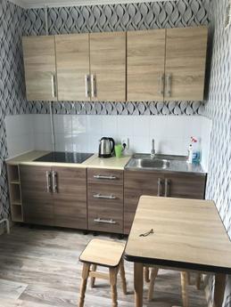 One-bedroom apartment hourly, daily, Kamenskoe (Dniprodzerzhynsk) - mieszkanie po dobowo