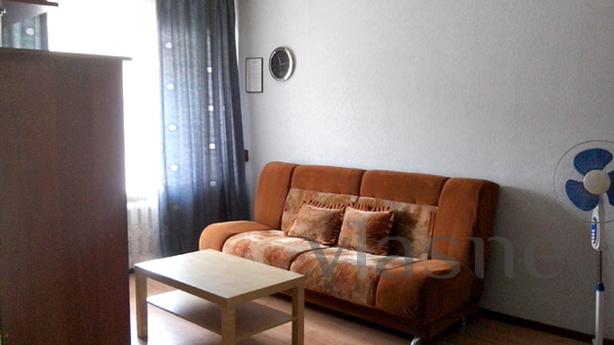1 bedroom apartment in the center of Nov, Novosibirsk - günlük kira için daire