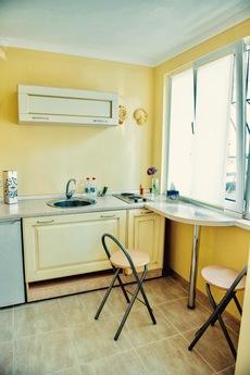 Little Pushkin, Odessa - apartment by the day