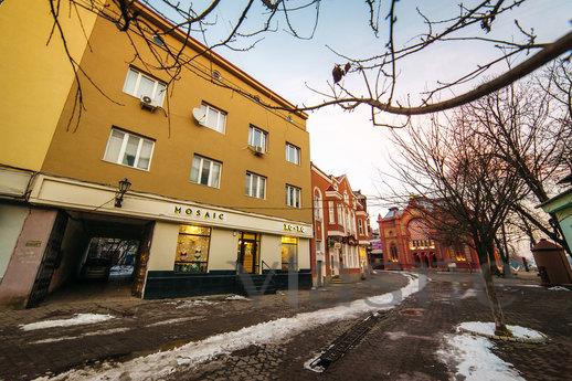 Teatralnaya Pl'de iki odalı daire, Uzhhorod - günlük kira için daire