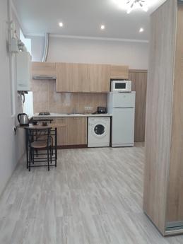 Rent in Odessa, the studio at 5CT. Bf., Odessa - apartment by the day