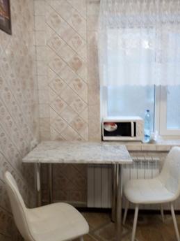 Cozy apartment near metro Botanichesky, Kharkiv - mieszkanie po dobowo
