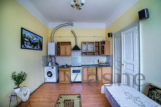 Orta kısımda 1 yatak odalı daire, Lviv - günlük kira için daire