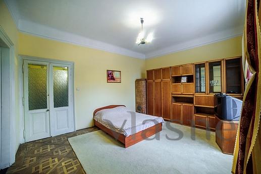 Orta kısımda 1 yatak odalı daire, Lviv - günlük kira için daire