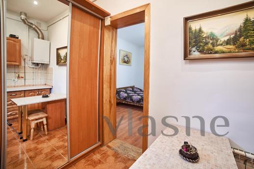 1 bedroom apartment in the central part, Lviv - mieszkanie po dobowo