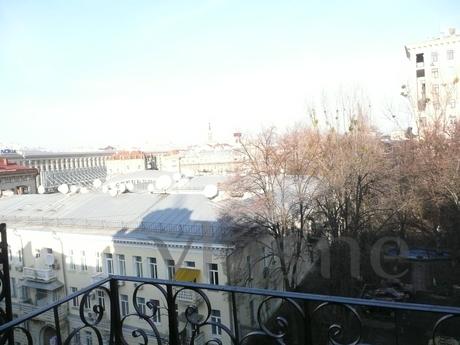 Dzienny kw. w sercu Kijowa, Kyiv - mieszkanie po dobowo