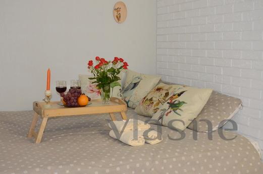 Very bright, warm (in winter) apartment after major repairs,