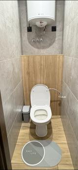 Lisoviy Avenue, Serts Institute, metro station, Kyiv - günlük kira için daire