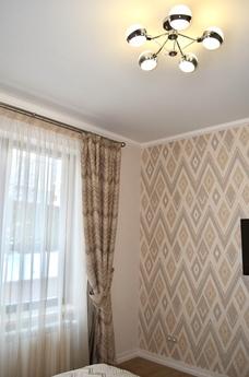 Designer renovated apartment 2, Uzhhorod - günlük kira için daire