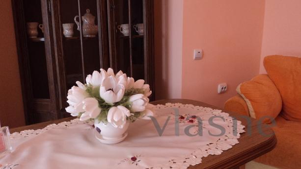2 bedroom apartment in the historic center of the city. Wind