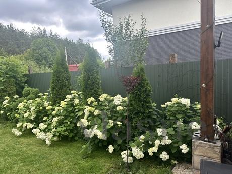 Дом под Киевом посуточно, Ранчо, в лесу, Макаров - квартира посуточно