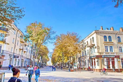 Barokowy taras w centrum Połtawy. Carskaja, Poltava - mieszkanie po dobowo