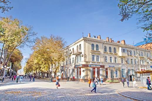 Baroque Terrace in Apartments, Poltava - apartment by the day