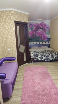 Zdam 1-room apartment for rent in a new house, Ozernaya dist
