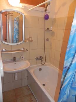 2 rooms apartment 5min from metro, Kyiv - apartment by the day