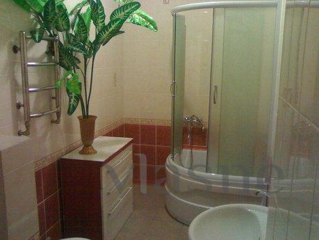 DAILY HOURLY 2 BR APARTMENT, Kropyvnytskyi (Kirovohrad) - apartment by the day